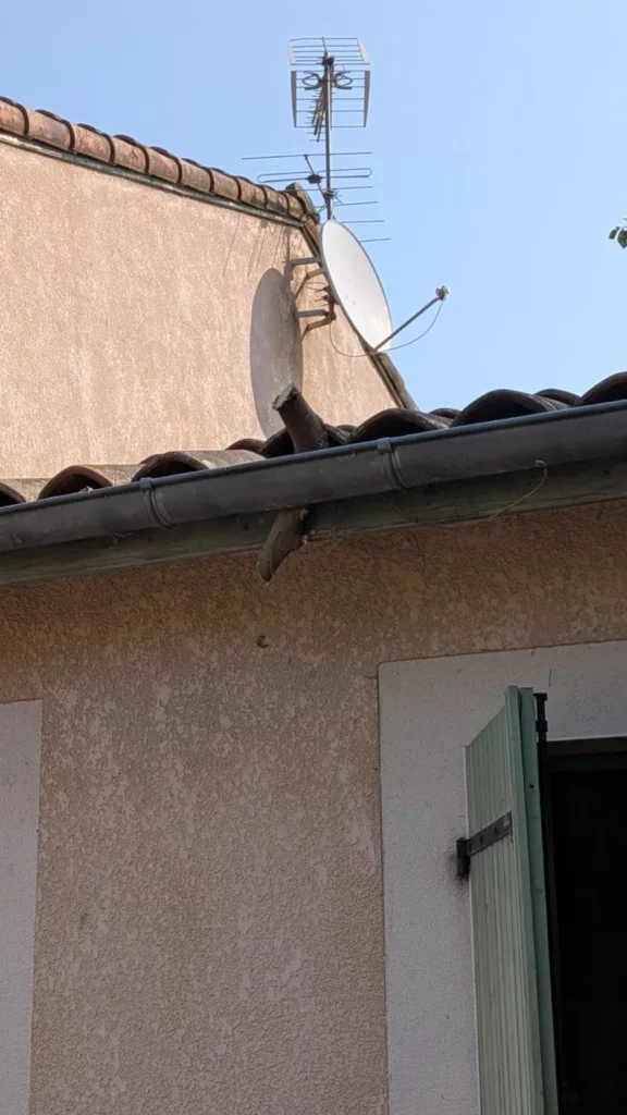 Observation de la toiture lors d'une inspection immobilière avant achat